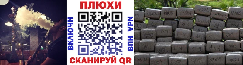 ГАШ Premium  Сураж 