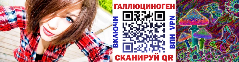 закладка Сураж Псилоцибиновые грибы Cubensis