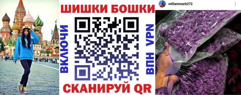 где купить   Сураж  Бошки марихуана сатива 